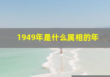 1949年是什么属相的年