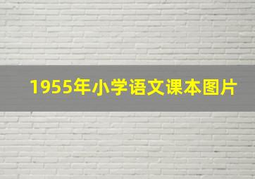 1955年小学语文课本图片