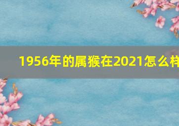 1956年的属猴在2021怎么样