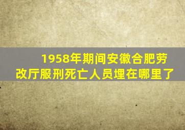 1958年期间安徽合肥劳改厅服刑死亡人员埋在哪里了