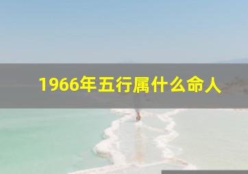 1966年五行属什么命人