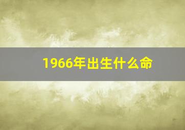 1966年出生什么命