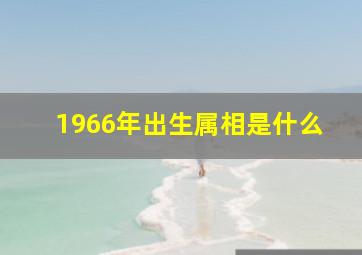 1966年出生属相是什么