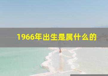 1966年出生是属什么的