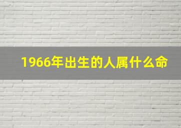 1966年出生的人属什么命