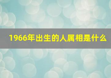 1966年出生的人属相是什么