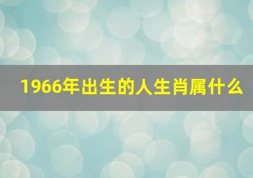 1966年出生的人生肖属什么