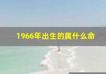 1966年出生的属什么命