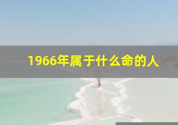 1966年属于什么命的人