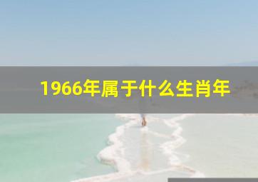 1966年属于什么生肖年