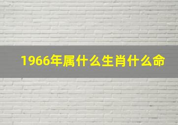 1966年属什么生肖什么命