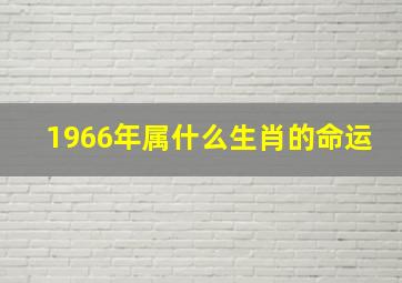 1966年属什么生肖的命运