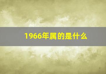 1966年属的是什么