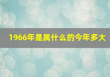 1966年是属什么的今年多大