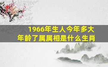 1966年生人今年多大年龄了属属相是什么生肖