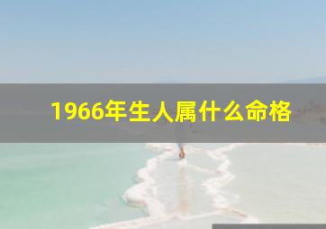 1966年生人属什么命格