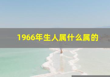 1966年生人属什么属的