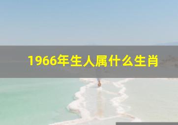 1966年生人属什么生肖