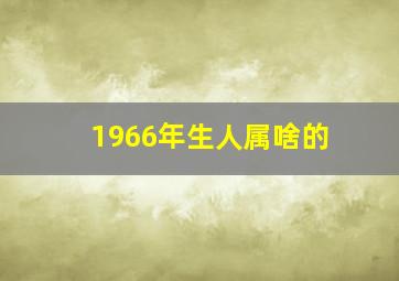 1966年生人属啥的