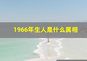 1966年生人是什么属相