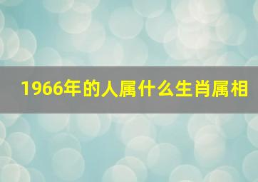 1966年的人属什么生肖属相