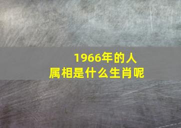 1966年的人属相是什么生肖呢