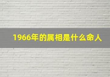 1966年的属相是什么命人