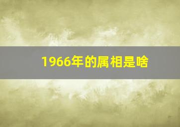 1966年的属相是啥