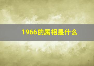 1966的属相是什么