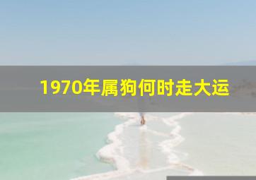 1970年属狗何时走大运