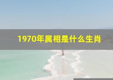 1970年属相是什么生肖