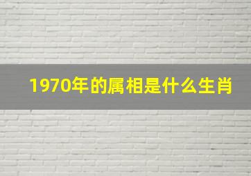 1970年的属相是什么生肖