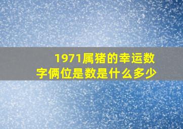 1971属猪的幸运数字俩位是数是什么多少