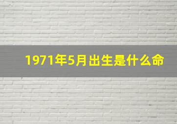 1971年5月出生是什么命