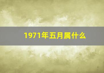 1971年五月属什么