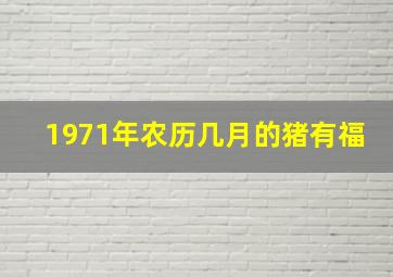 1971年农历几月的猪有福