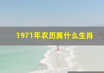 1971年农历属什么生肖