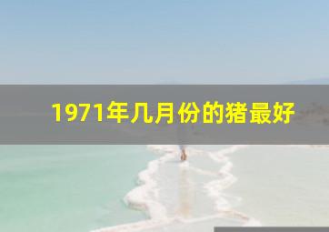 1971年几月份的猪最好