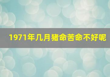 1971年几月猪命苦命不好呢