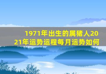 1971年出生的属猪人2021年运势运程每月运势如何