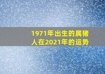 1971年出生的属猪人在2021年的运势