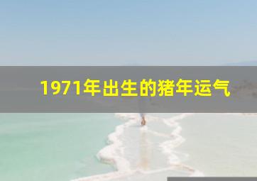 1971年出生的猪年运气