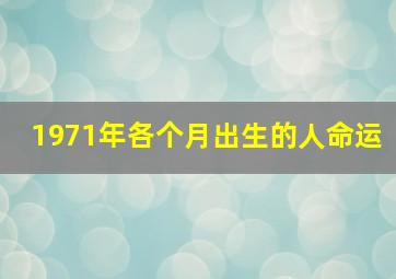 1971年各个月出生的人命运