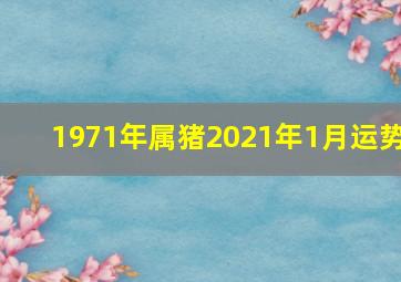 1971年属猪2021年1月运势