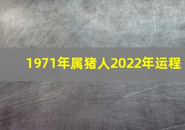 1971年属猪人2022年运程