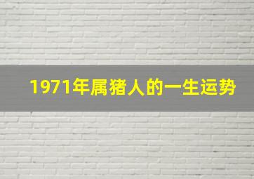 1971年属猪人的一生运势