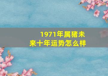 1971年属猪未来十年运势怎么样