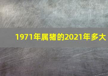 1971年属猪的2021年多大