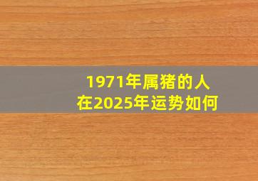 1971年属猪的人在2025年运势如何