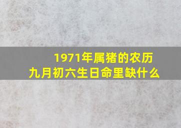 1971年属猪的农历九月初六生日命里缺什么